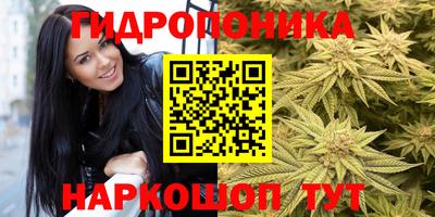 прущие крисы Рыбинск