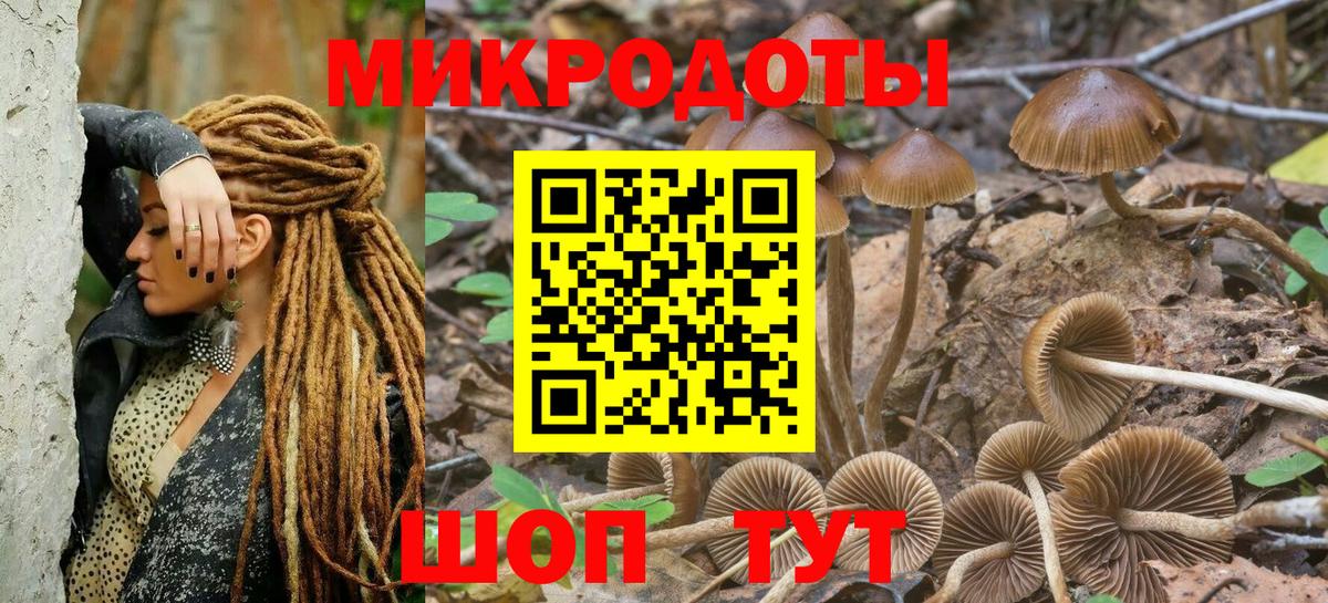 Самара  Псилоцибиновые грибы Psilocybine cubensis  закладки  Вход с VPN 