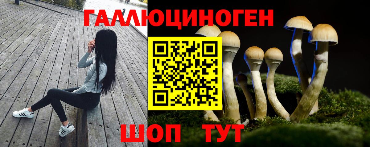 Галлюциногенные грибы Cubensis Самара